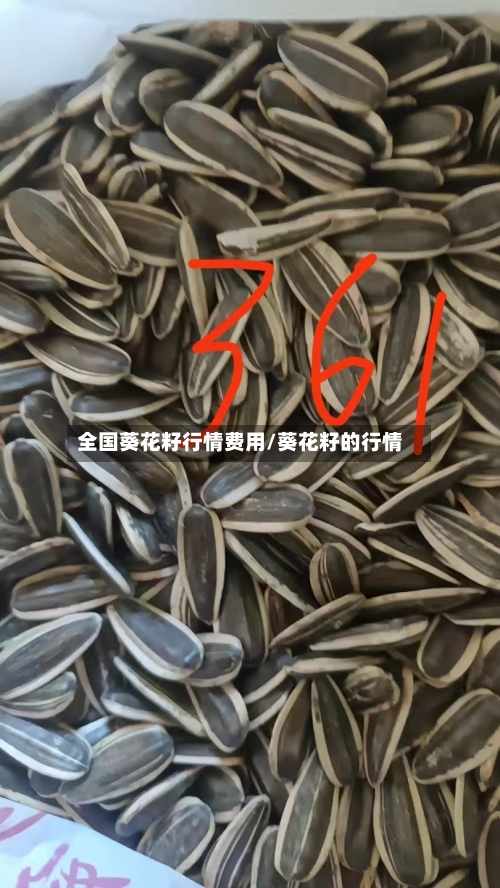 全国葵花籽行情费用/葵花籽的行情