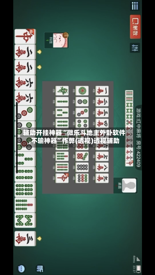 辅助开挂神器“微乐斗地主外卦软件,不输神器	”作弊(透视)透视辅助-第2张图片