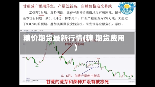 糖价期货最新行情(糖 期货费用)