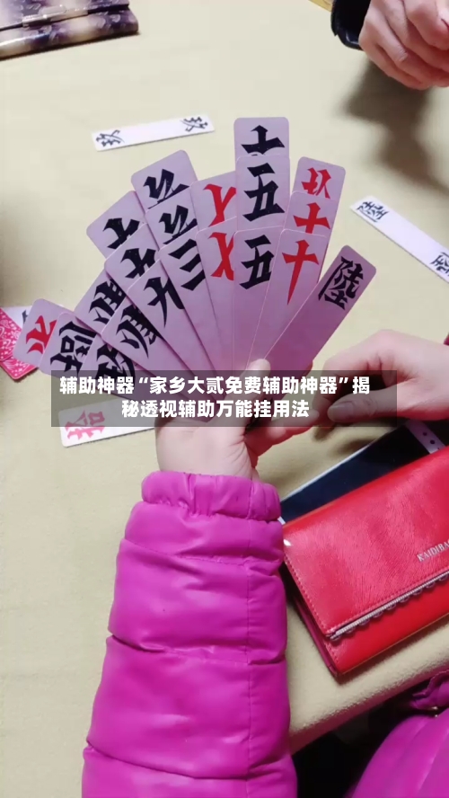 辅助神器“家乡大贰免费辅助神器	”揭秘透视辅助万能挂用法-第2张图片