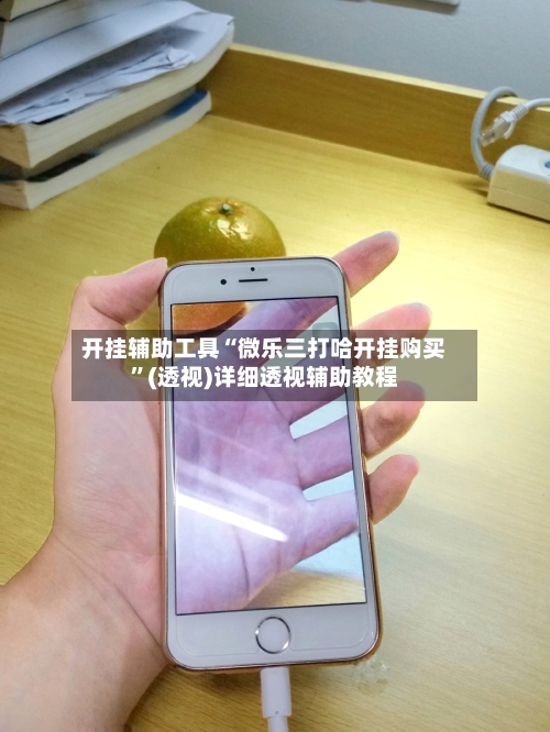 开挂辅助工具“微乐三打哈开挂购买”(透视)详细透视辅助教程