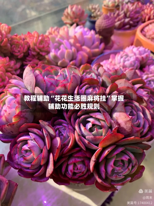 教程辅助“花花生活圈麻将挂”掌握辅助功能必胜规则-第2张图片