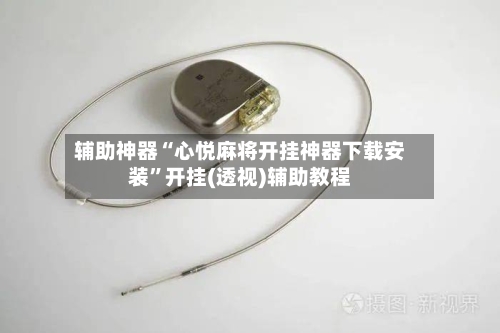 辅助神器“心悦麻将开挂神器下载安装	”开挂(透视)辅助教程-第2张图片
