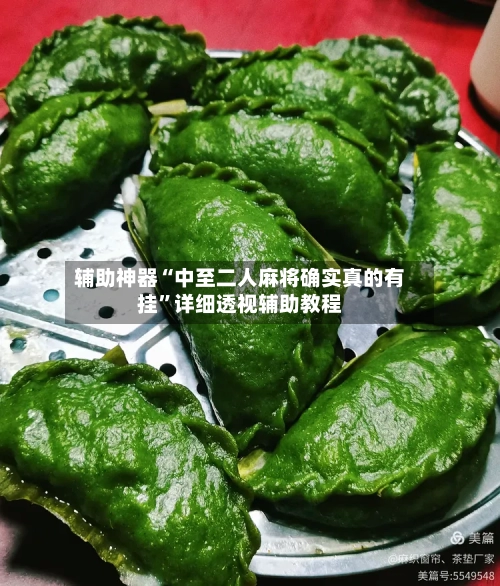 辅助神器“中至二人麻将确实真的有挂”详细透视辅助教程-第3张图片