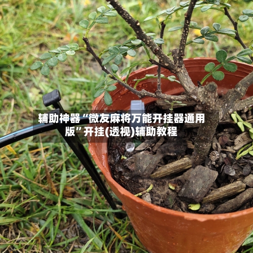 辅助神器“微友麻将万能开挂器通用版”开挂(透视)辅助教程