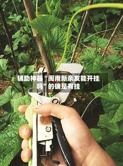 辅助神器“闽南新亲友能开挂吗”的确是有挂