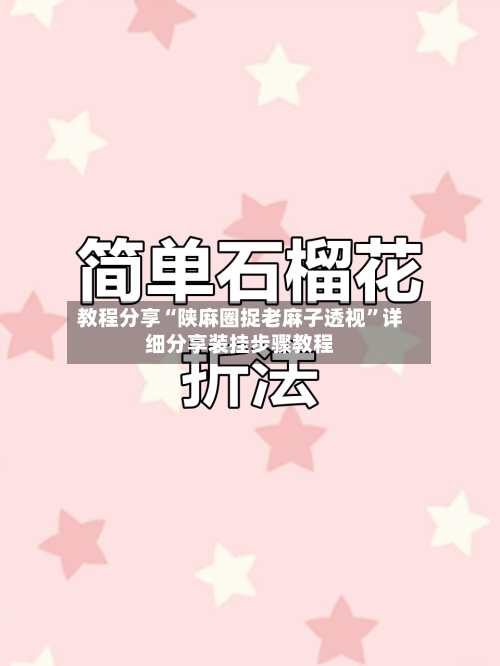 教程分享“陕麻圈捉老麻子透视”详细分享装挂步骤教程-第2张图片
