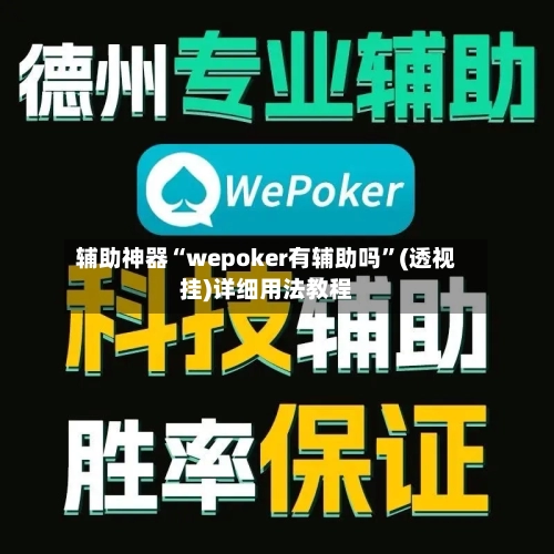 辅助神器“wepoker有辅助吗”(透视挂)详细用法教程-第2张图片