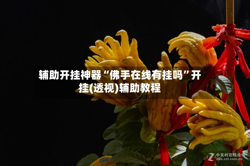 辅助开挂神器“佛手在线有挂吗”开挂(透视)辅助教程