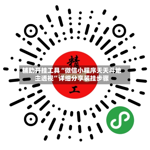 辅助开挂工具“微信小程序天天斗地主透视”详细分享装挂步骤-第2张图片