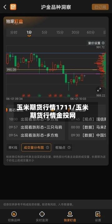 玉米期货行情1711/玉米期货行情金投网-第2张图片