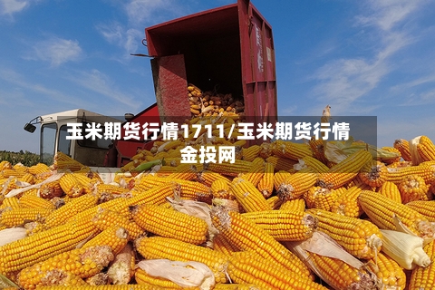 玉米期货行情1711/玉米期货行情金投网