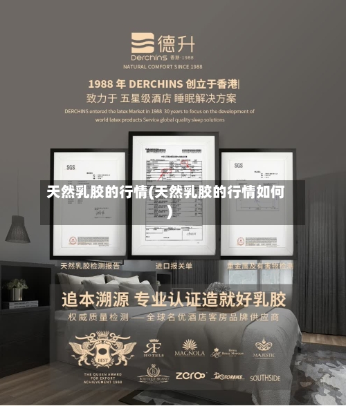 天然乳胶的行情(天然乳胶的行情如何)-第2张图片