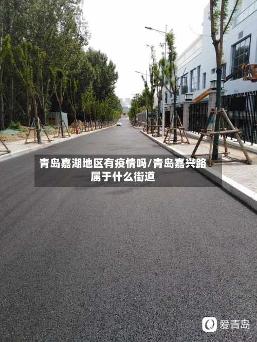 青岛嘉湖地区有疫情吗/青岛嘉兴路属于什么街道