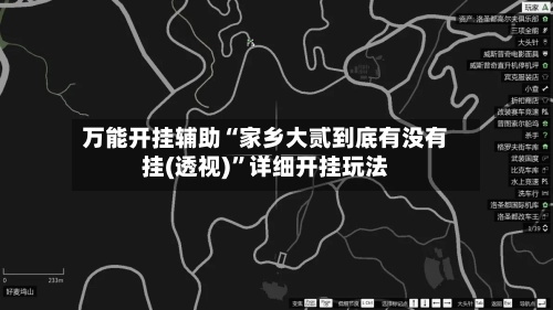 万能开挂辅助“家乡大贰到底有没有挂(透视)”详细开挂玩法-第2张图片