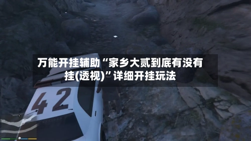 万能开挂辅助“家乡大贰到底有没有挂(透视)”详细开挂玩法