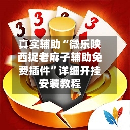 真实辅助“微乐陕西捉老麻子辅助免费插件”详细开挂安装教程-第2张图片