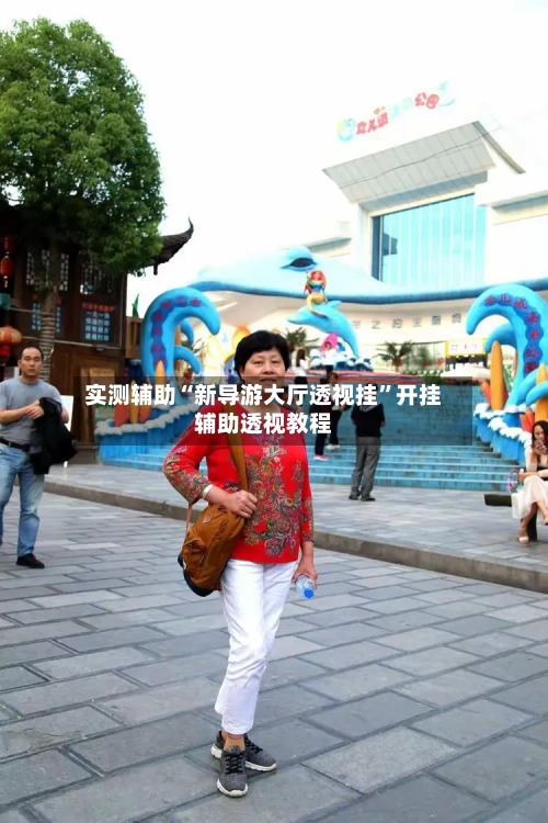 实测辅助“新导游大厅透视挂”开挂辅助透视教程-第2张图片