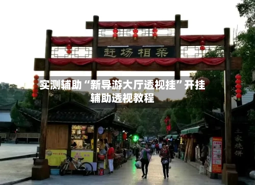 实测辅助“新导游大厅透视挂”开挂辅助透视教程-第3张图片