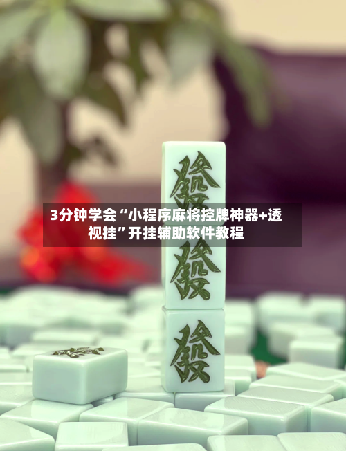 3分钟学会“小程序麻将控牌神器+透视挂”开挂辅助软件教程-第2张图片