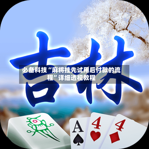 必备科技“麻将挂先试用后付款的流程”详细透视教程-第3张图片