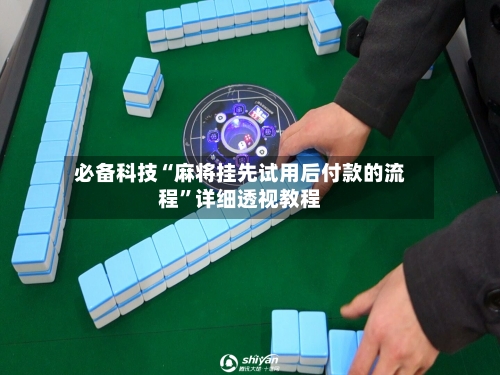 必备科技“麻将挂先试用后付款的流程”详细透视教程-第2张图片