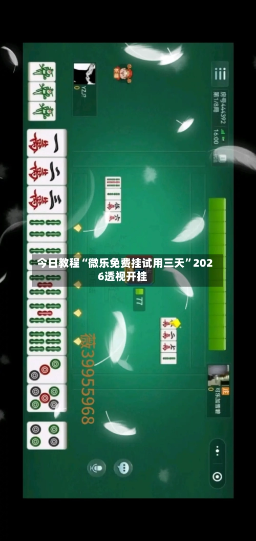 今日教程“微乐免费挂试用三天”2026透视开挂