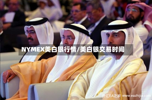 NYMEX美白银行情/美白银交易时间-第2张图片