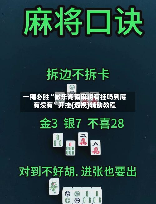 一键必胜“微乐湖南麻将有挂吗到底有没有”开挂(透视)辅助教程
