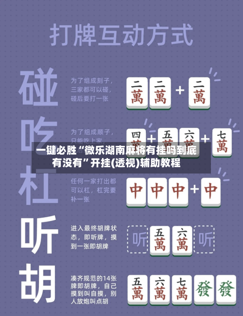 一键必胜“微乐湖南麻将有挂吗到底有没有”开挂(透视)辅助教程-第2张图片