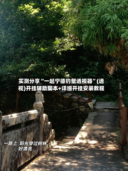 实测分享“一起宁德钓蟹透视器”(透视)开挂辅助脚本+详细开挂安装教程