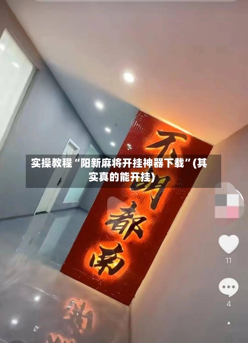 实操教程“阳新麻将开挂神器下载”(其实真的能开挂)-第2张图片