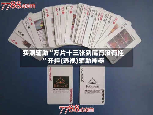 实测辅助“方片十三张到底有没有挂”开挂(透视)辅助神器-第3张图片