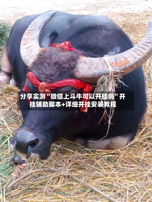 分享实测“微信上斗牛可以开挂吗	”开挂辅助脚本+详细开挂安装教程-第2张图片