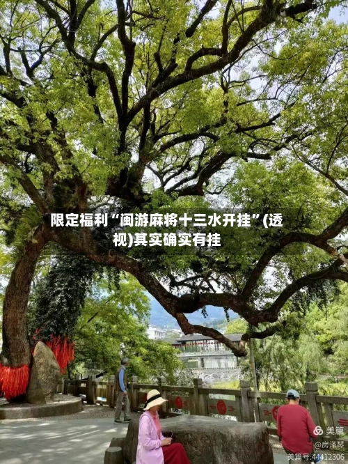 限定福利“闽游麻将十三水开挂”(透视)其实确实有挂