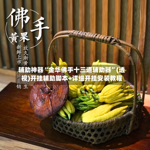 辅助神器“金华佛手十三道辅助器”(透视)开挂辅助脚本+详细开挂安装教程-第2张图片