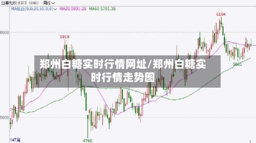 郑州白糖实时行情网址/郑州白糖实时行情走势图