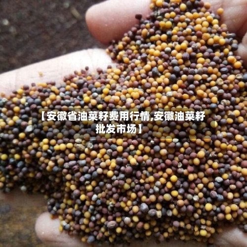 【安徽省油菜籽费用行情,安徽油菜籽批发市场】