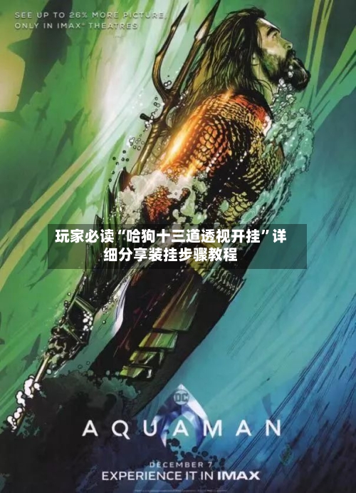 玩家必读“哈狗十三道透视开挂”详细分享装挂步骤教程-第2张图片