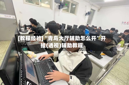 [教程经验]“青鸟大厅辅助怎么开	”开挂(透视)辅助教程-第2张图片
