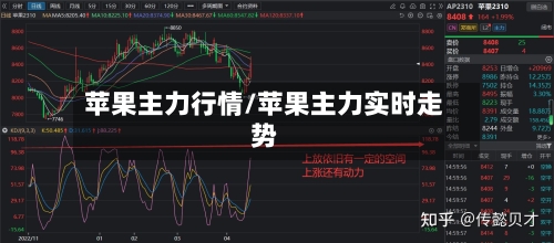 苹果主力行情/苹果主力实时走势-第2张图片
