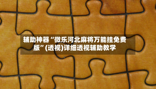 辅助神器“微乐河北麻将万能挂免费版	”(透视)详细透视辅助教学-第2张图片
