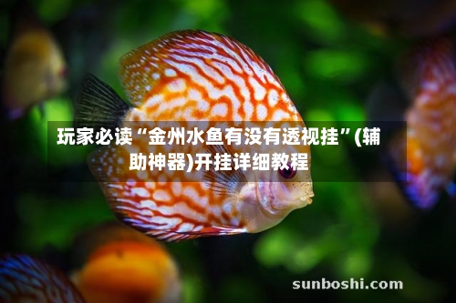玩家必读“金州水鱼有没有透视挂”(辅助神器)开挂详细教程