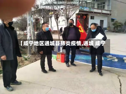 【咸宁地区通城县肺炎疫情,通城 咸宁】-第3张图片