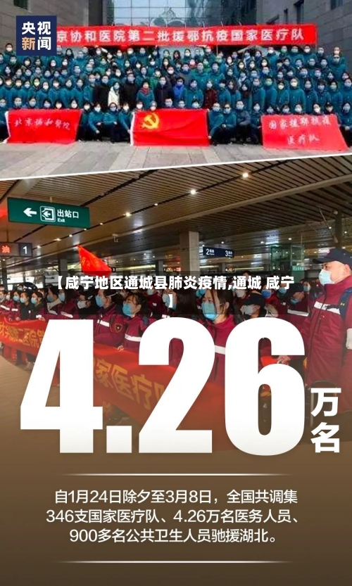【咸宁地区通城县肺炎疫情,通城 咸宁】-第2张图片