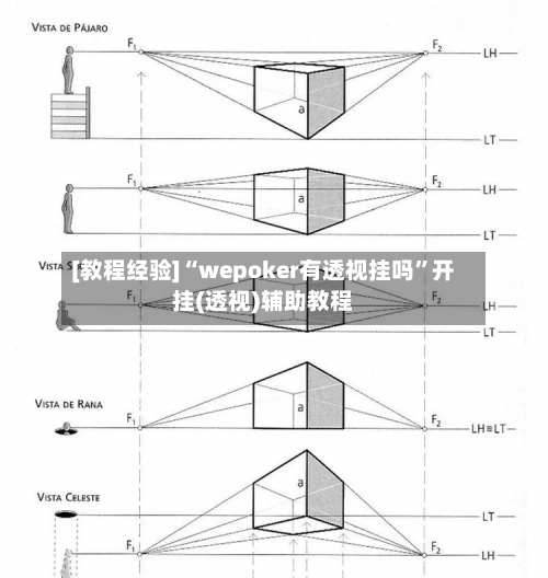 [教程经验]“wepoker有透视挂吗”开挂(透视)辅助教程