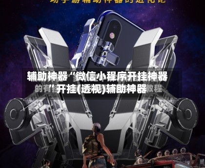 辅助神器“微信小程序开挂神器”开挂(透视)辅助神器-第3张图片