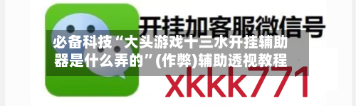 必备科技“大头游戏十三水开挂辅助器是什么弄的”(作弊)辅助透视教程