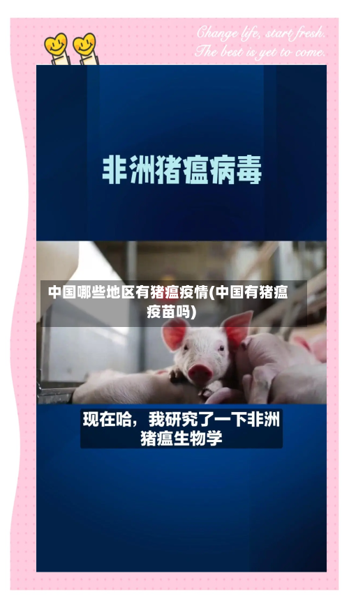 中国哪些地区有猪瘟疫情(中国有猪瘟疫苗吗)