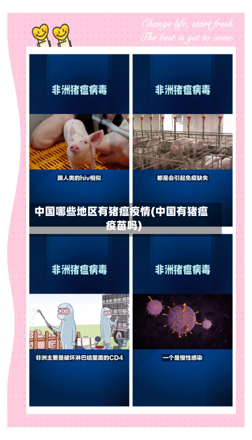 中国哪些地区有猪瘟疫情(中国有猪瘟疫苗吗)-第2张图片